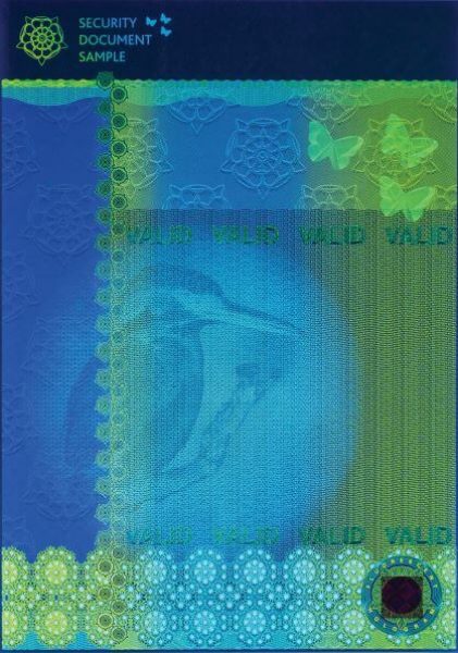 CERTIFICATE 5 UV lo